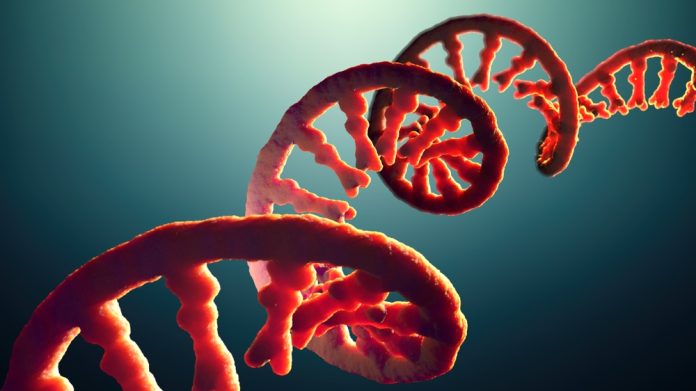 AI model speeds up the development of RNA vaccines